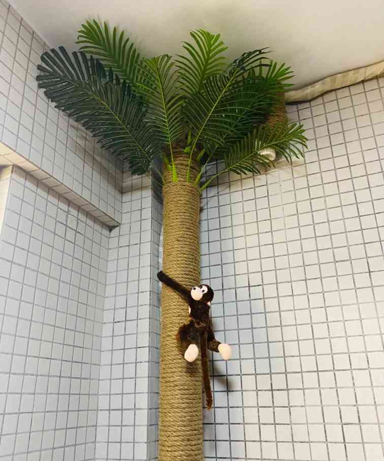 2个装修“遮丑”小技巧,简单便宜易操作(图6) 2个装修“遮丑”小技巧,简单便宜易操作