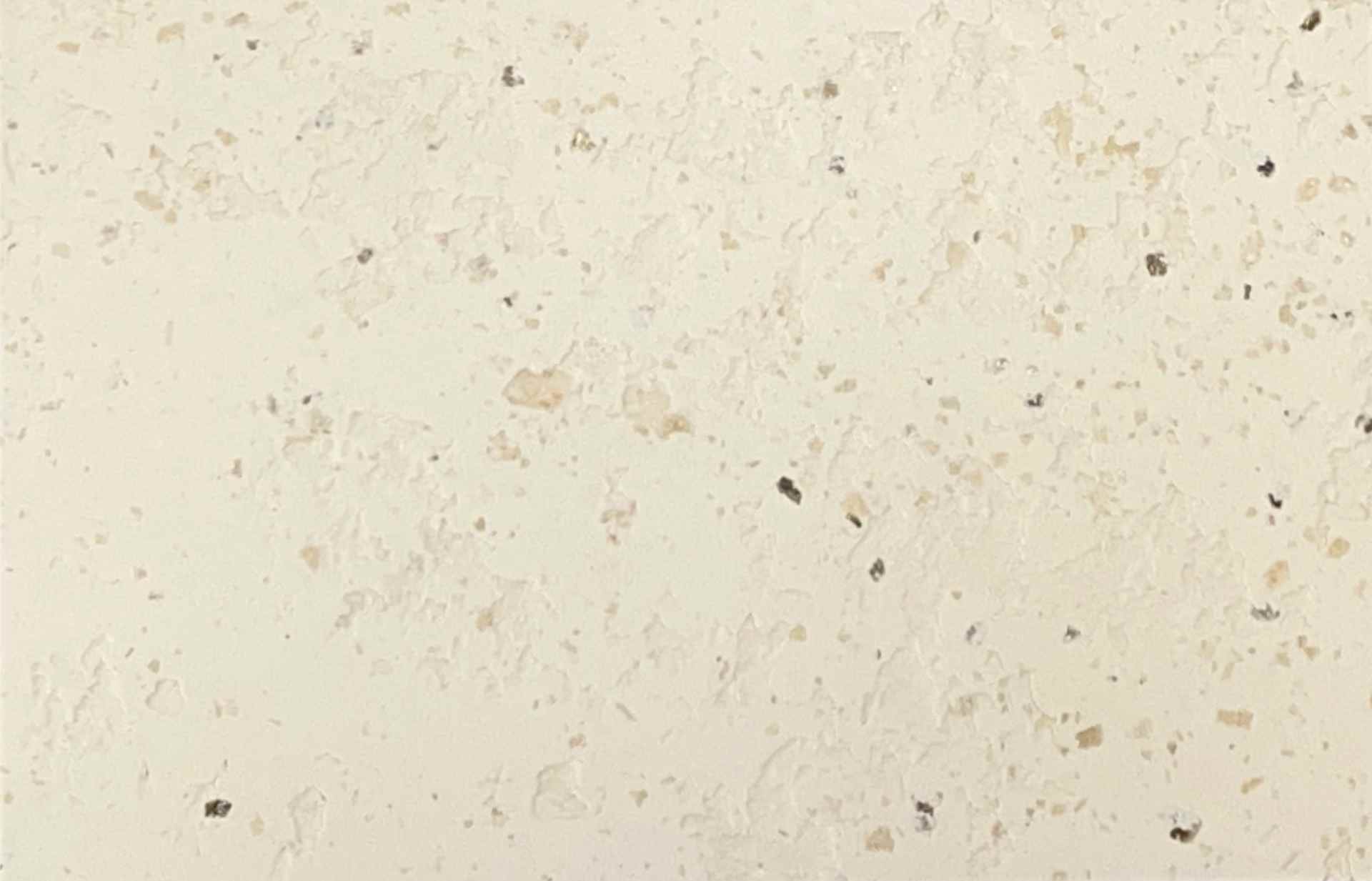 莱姆石艺术漆：天然质感与环保优势，打造独特家居空间(图4)