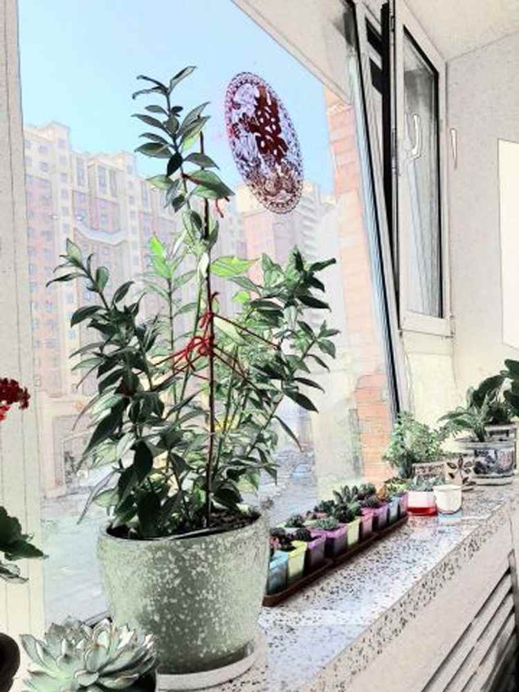 新手装修立省30%装修费用