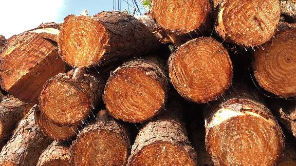 装修小白必看!不可忽略的板材问题(图2) 装修小白必看!不可忽略的板材问题